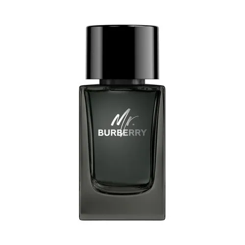 Burberry Mr. Burberry